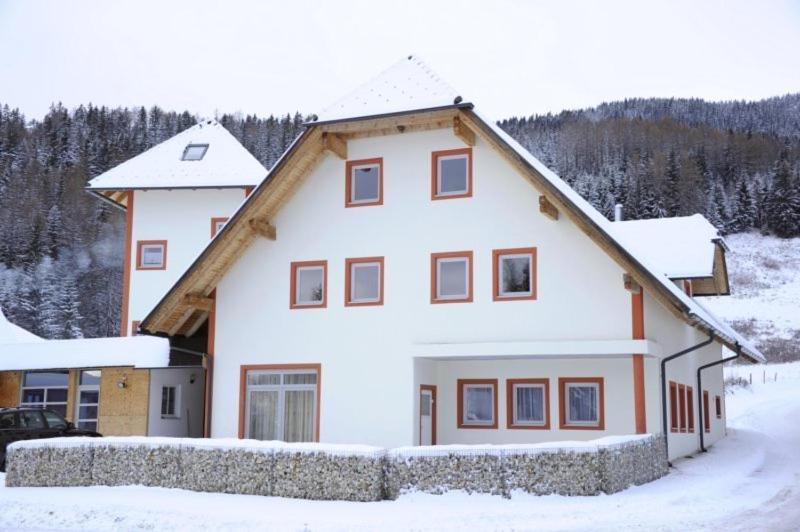 Appartementhaus Hochegg Lachtal Extérieur photo